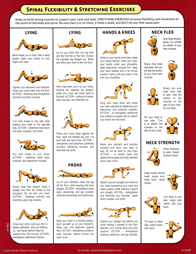 Spinal Flexibility & Stretching Exercises