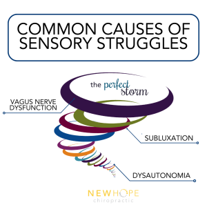Copy of Signs of Sensory Struggles Infographic (PX+)