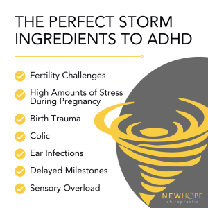 The Perfect Storm Ingredients to ADHD Infographic (PX+)