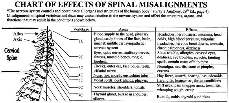 https://doc.vortala.com/childsites/uploads/3347/files/chiro-ans-chart-cervical.jpg