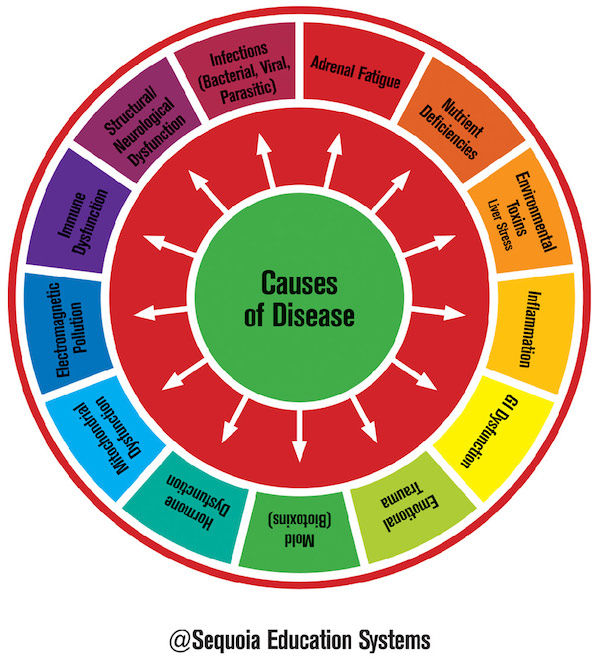 Causes of Disease illustration