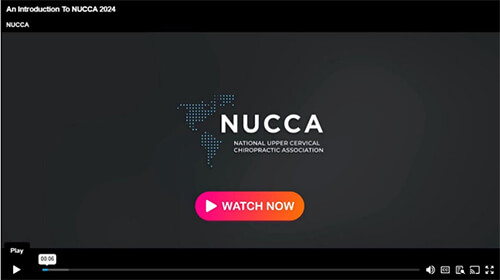 An-Introduction-To-Nucca.2024