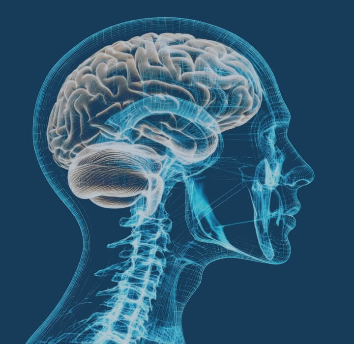 brain scan illustration