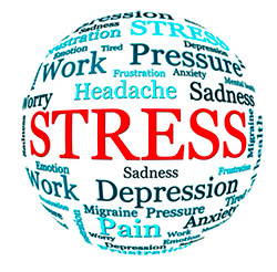 stress words circle