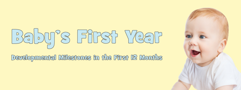 Baby's First Year