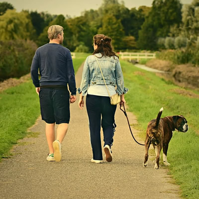 Couple walking the dog in the park