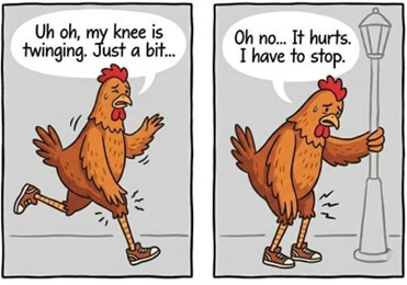 Chicken Running Pain