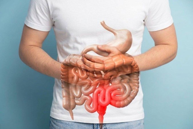 Gut Test (Article image)