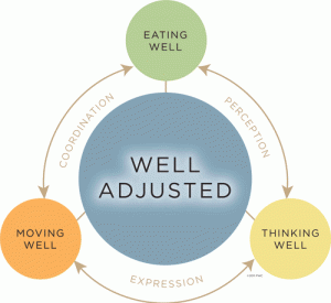 the-cycle-of-wellness & disease