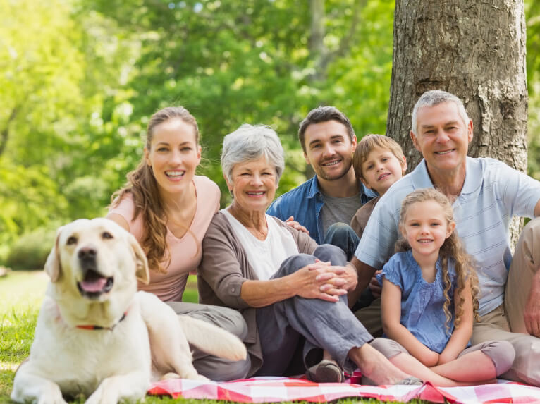 multigenerational family having a picnic