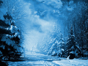 HD-wallpaper-december-morning-snow-forest-morning-snow-december