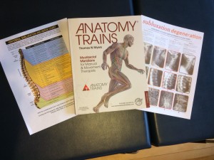 anatomy trains