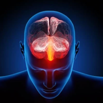 brain nerve digital illustration