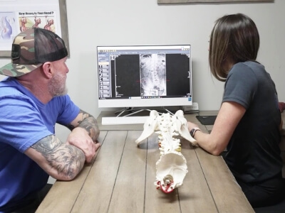 looking at x-rays