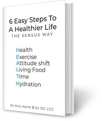 6 easy steps to a healthier life Book Cover