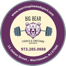 big bear-logo