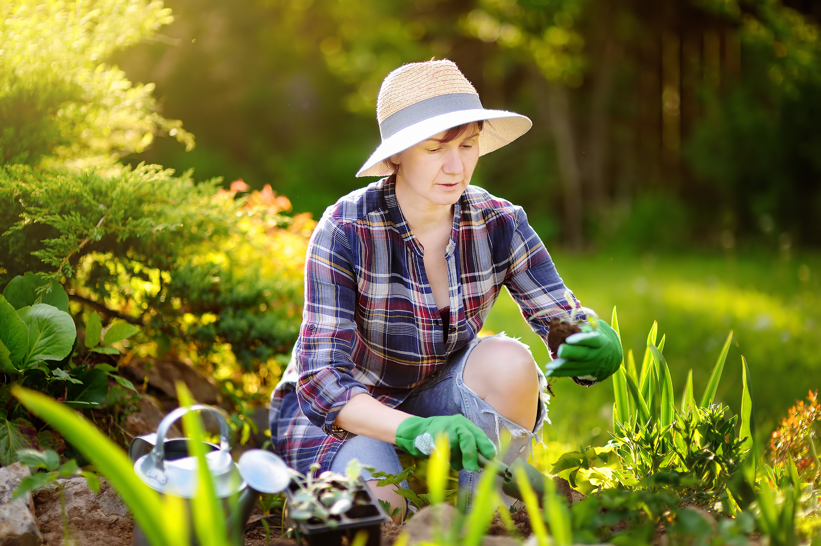 gardening-yard-work