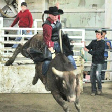 Steve D. Bull rider