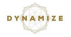dynamize logo