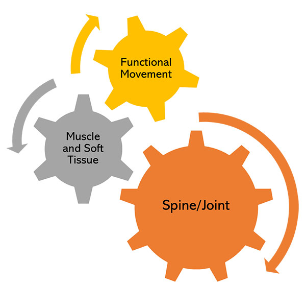 gears model