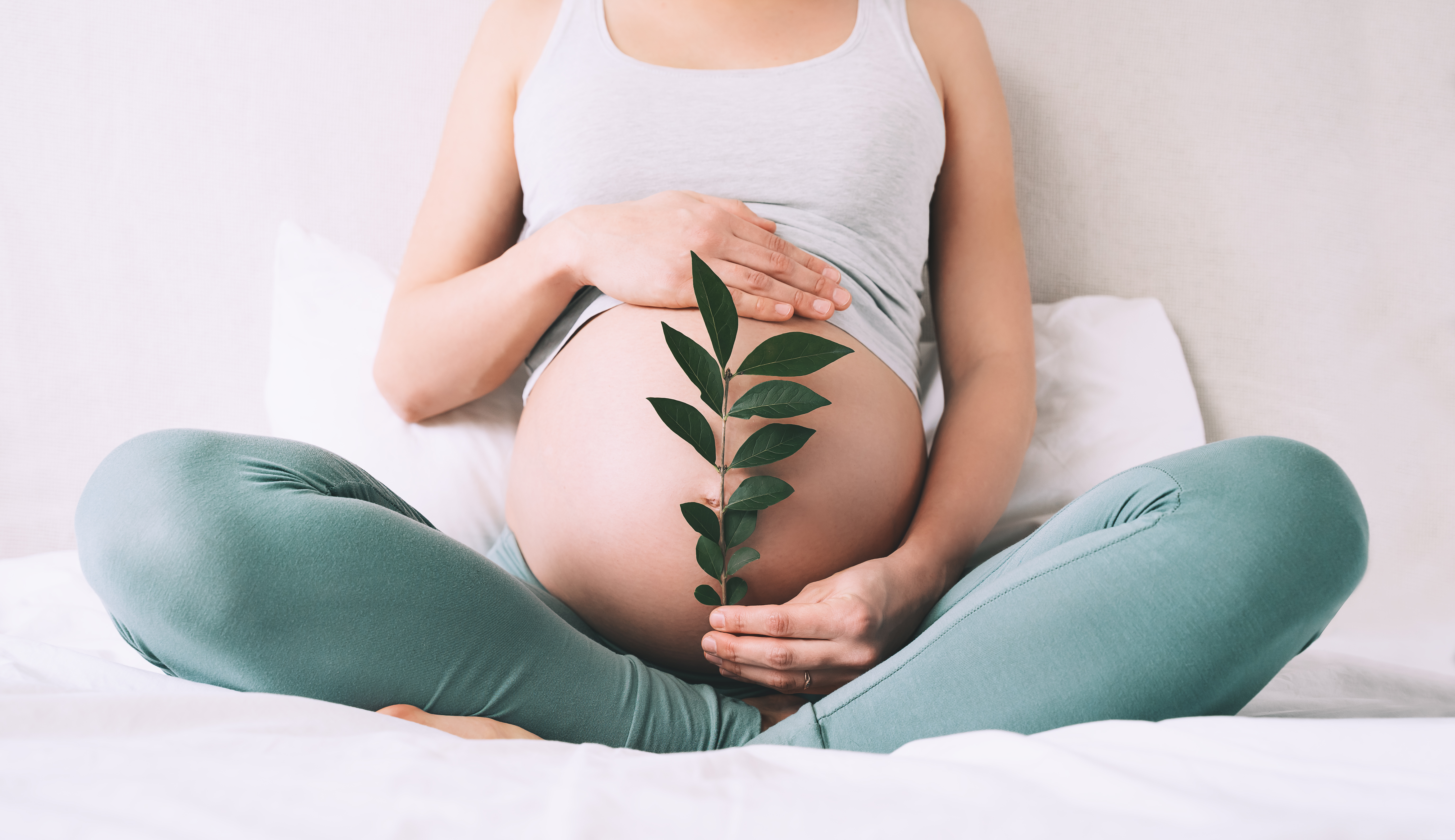 Pregnant,Woman,Holds,Green,Sprout,Plant,Near,Her,Belly,As