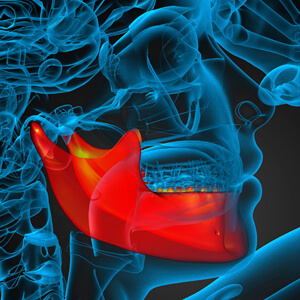 Illustration of jaw muscles and bones