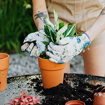 person gardening