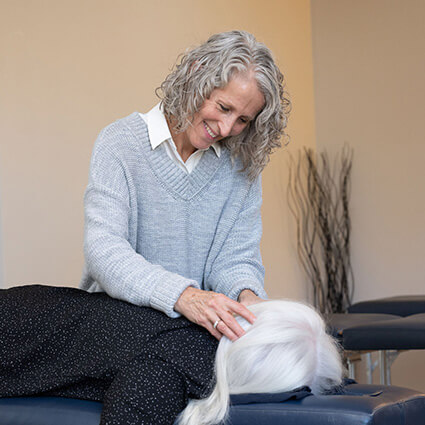 Dr Lisa adjusting patients neck
