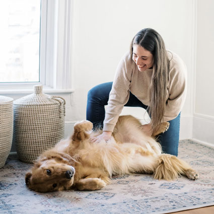 Animal Chiropractic with Dog