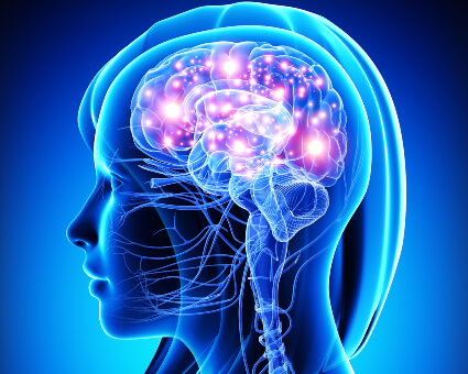 Illustration of brain activity