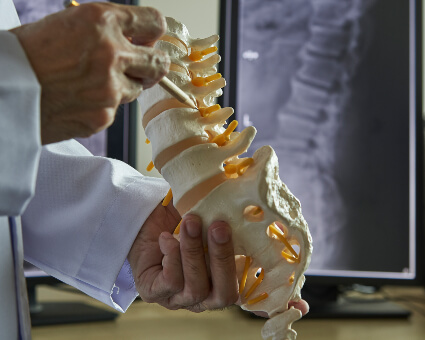 Chiropractor pointing at spine model