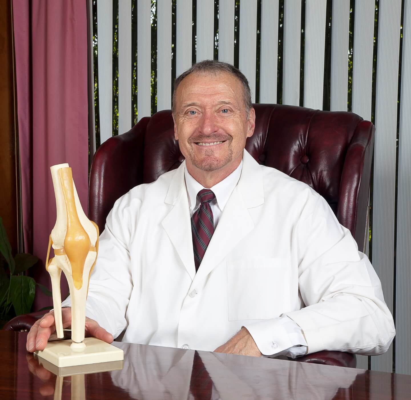 Best Chiropractor Greenville SC Free Consultation Available