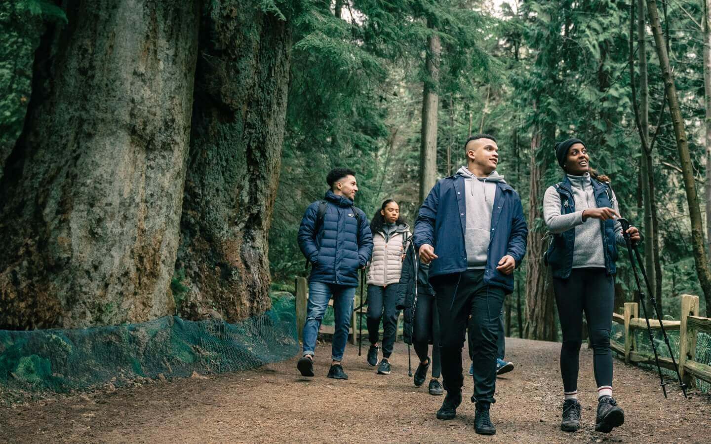 people hiking in the forest