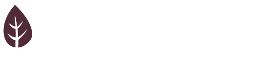 Hands On Health Chiropractic logo - Home