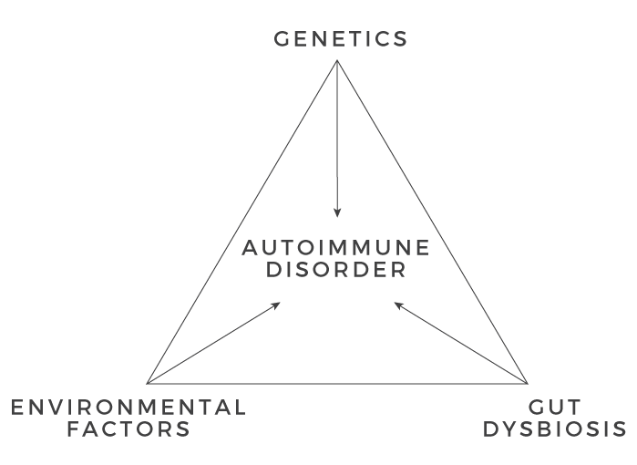 autoimmune disorder diagram