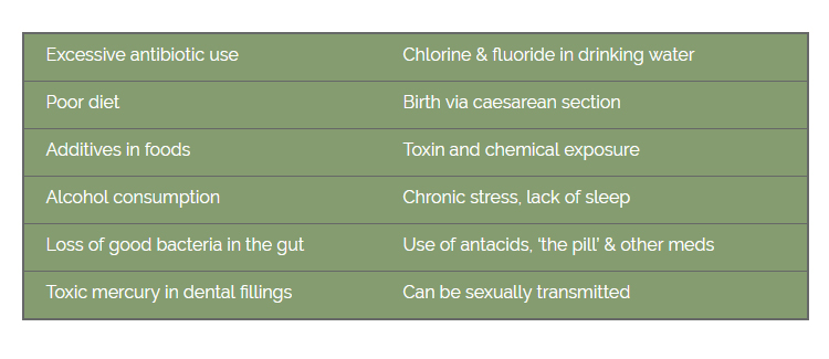 Causes of Candida