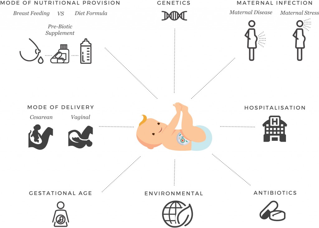 Environmental Factors