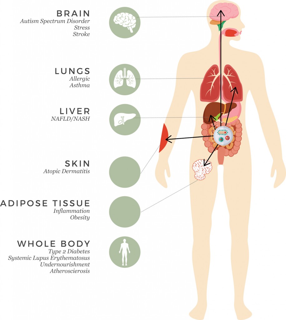 Gastronintestinal