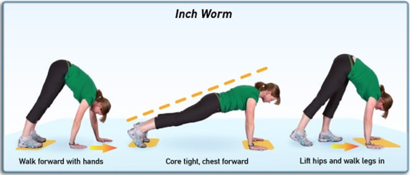 inch worm test