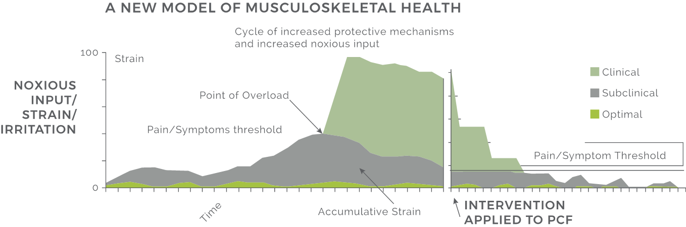 Musculoskeletal health