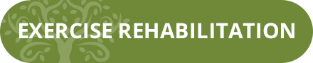 Exercise Rehabilitation