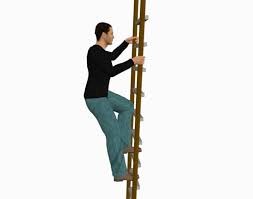 Man climbing ladder