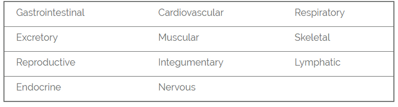 systems of human body