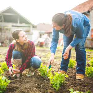 Two women working in a garden