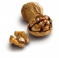 walnut