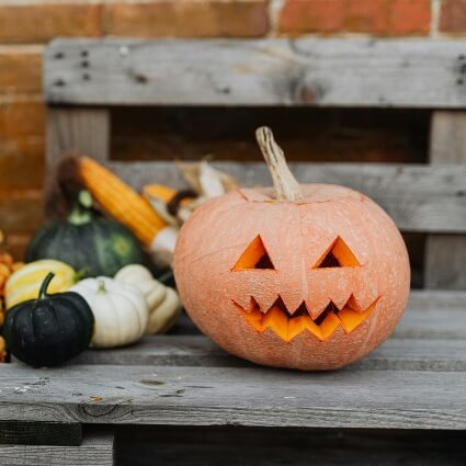 carved pumpkin sitting on a bench