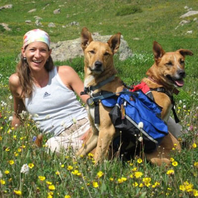 Nikki in the field with her dogs