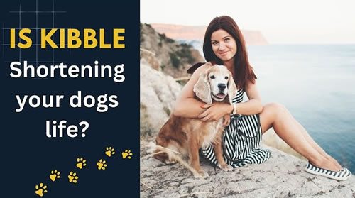 Is Kibble shortening your dog's life thumbnail