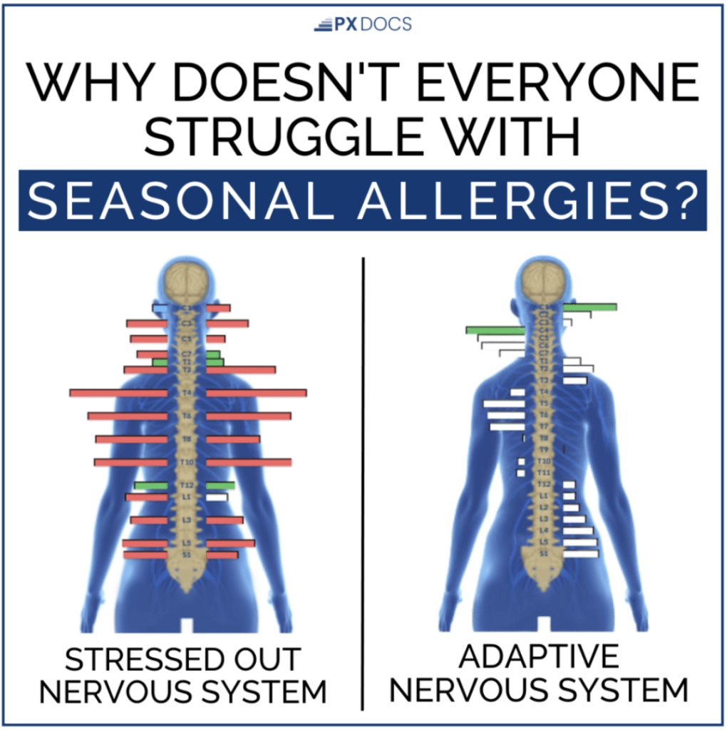 Seasonal allergies diagram