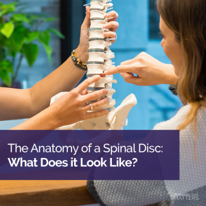 Week 1 - The Anatomy of a Spinal Disc - What Does it Look LIke